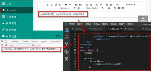 vue实战 vue quill editor富文本编辑器使用 许昌鲤鱼it编程教育软件开发培训